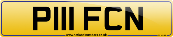 P111 FCN