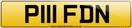P111 FDN