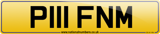 P111 FNM