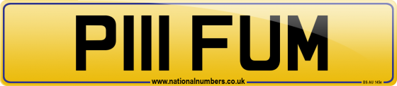 P111 FUM