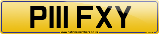 P111 FXY