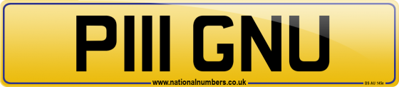P111 GNU