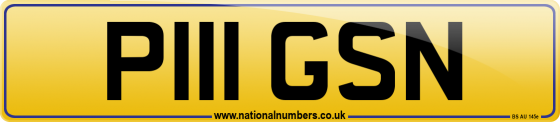 P111 GSN