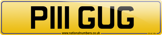 P111 GUG