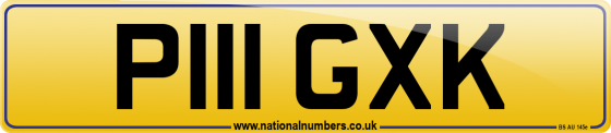 P111 GXK