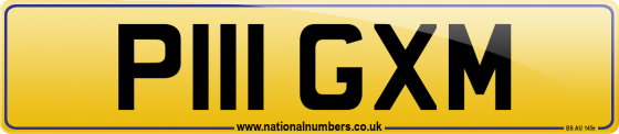 P111 GXM