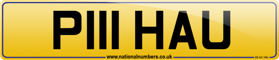 P111 HAU