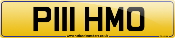 P111 HMO