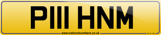 P111 HNM
