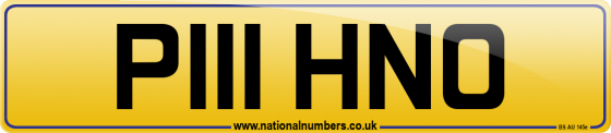 P111 HNO