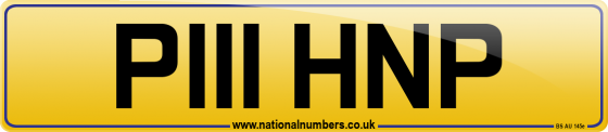 P111 HNP