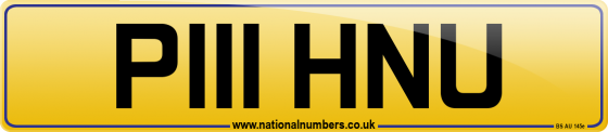 P111 HNU
