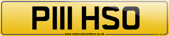 P111 HSO