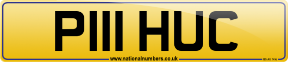 P111 HUC