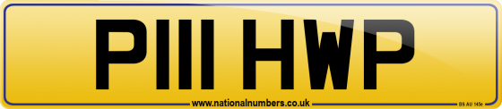 P111 HWP