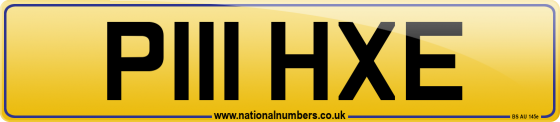 P111 HXE