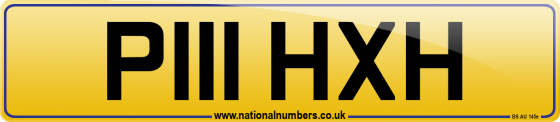 P111 HXH