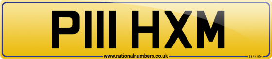 P111 HXM