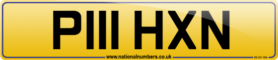 P111 HXN