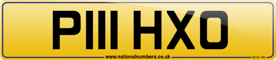 P111 HXO