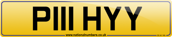 P111 HYY