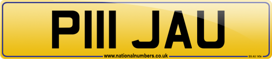 P111 JAU
