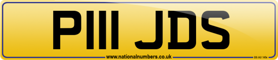 P111 JDS
