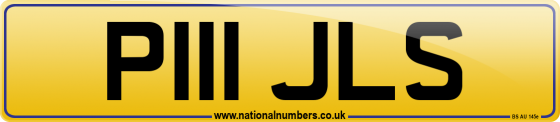 P111 JLS