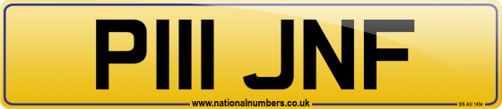 P111 JNF