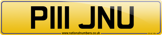 P111 JNU