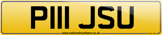 P111 JSU