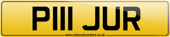 P111 JUR