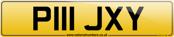 P111 JXY