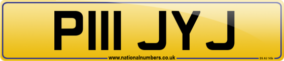 P111 JYJ