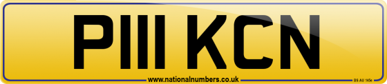 P111 KCN