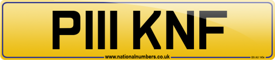P111 KNF