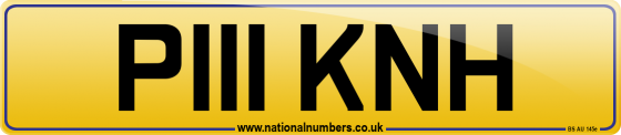 P111 KNH