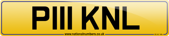 P111 KNL