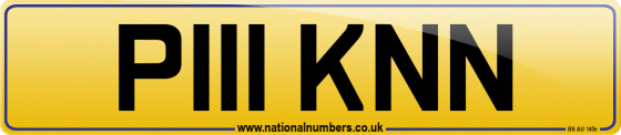 P111 KNN