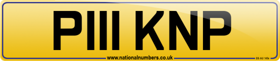 P111 KNP