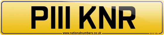 P111 KNR