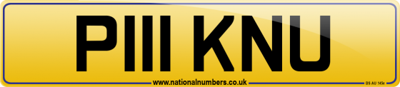 P111 KNU