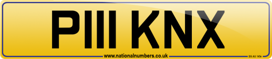 P111 KNX