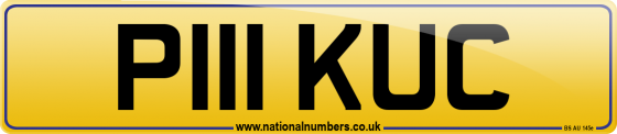 P111 KUC