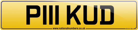 P111 KUD