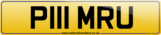 P111 MRU