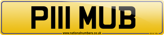 P111 MUB