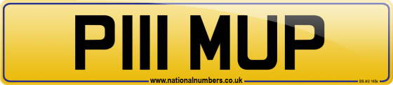 P111 MUP