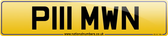P111 MWN