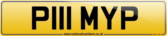 P111 MYP